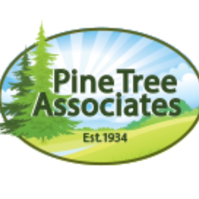 Club logo for Pine Tree Associates