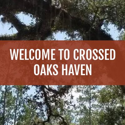 Club logo for Crossed Oaks Haven